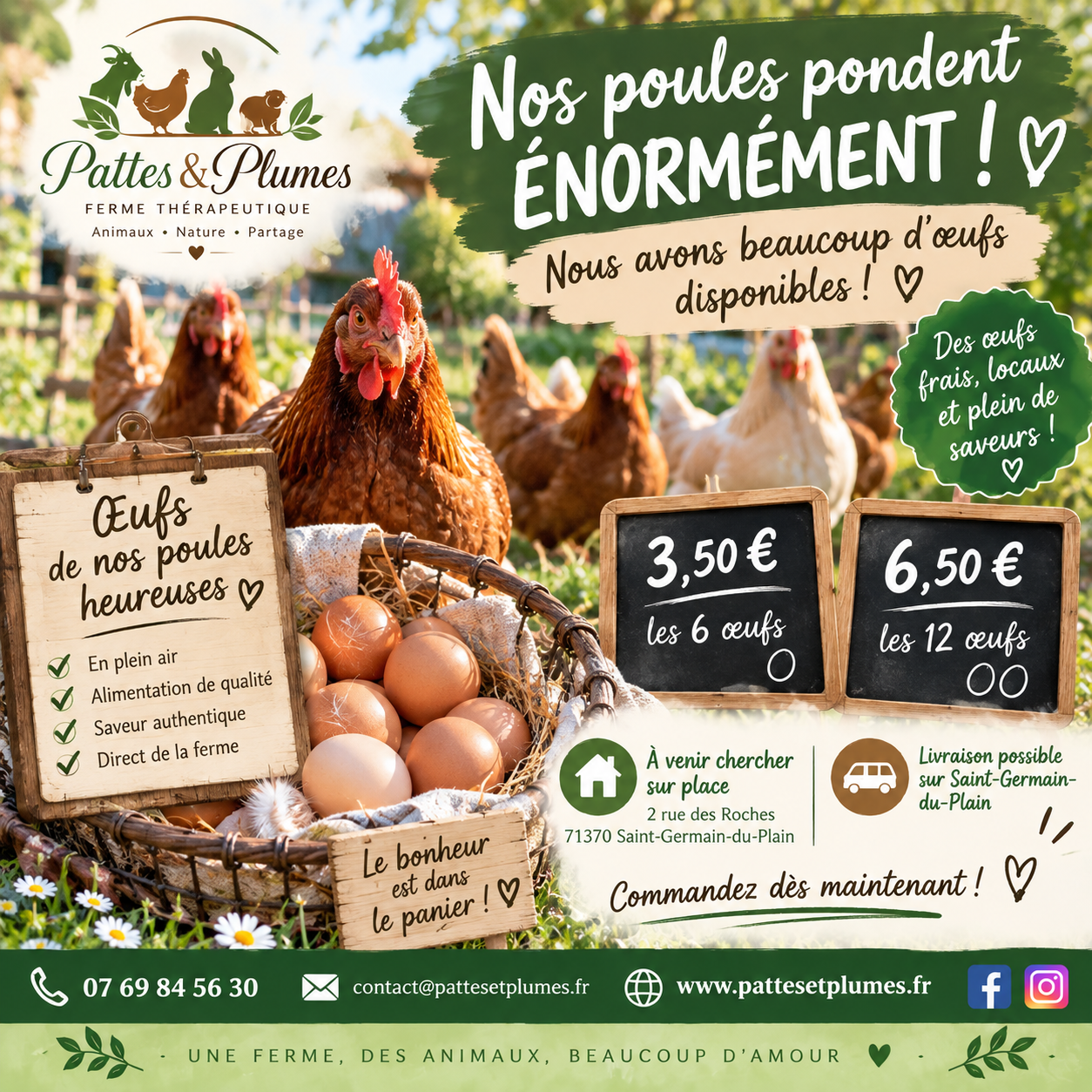 Nos œufs frais sont disponibles